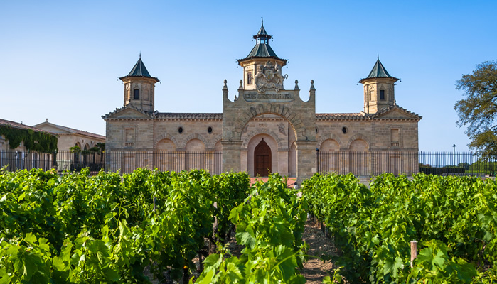 Learning to Love French Wines!