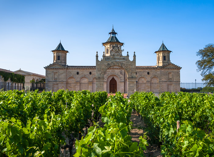 Learning to Love French Wines!