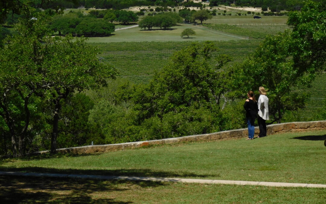 Strolling through Texas wine Hill Country