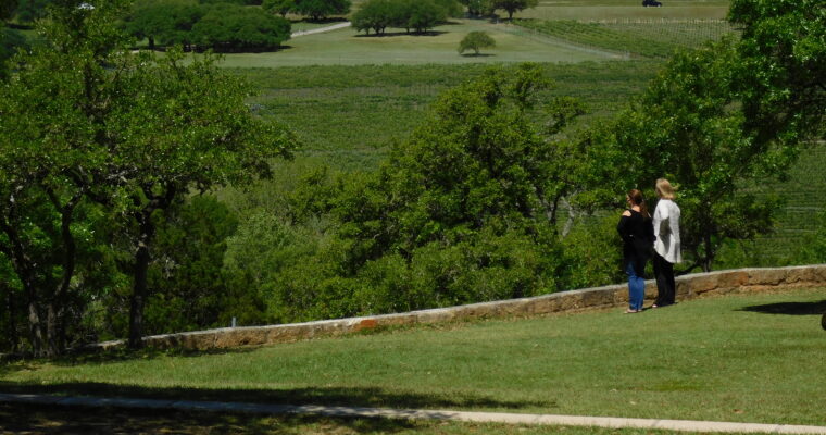 Strolling through Texas wine Hill Country