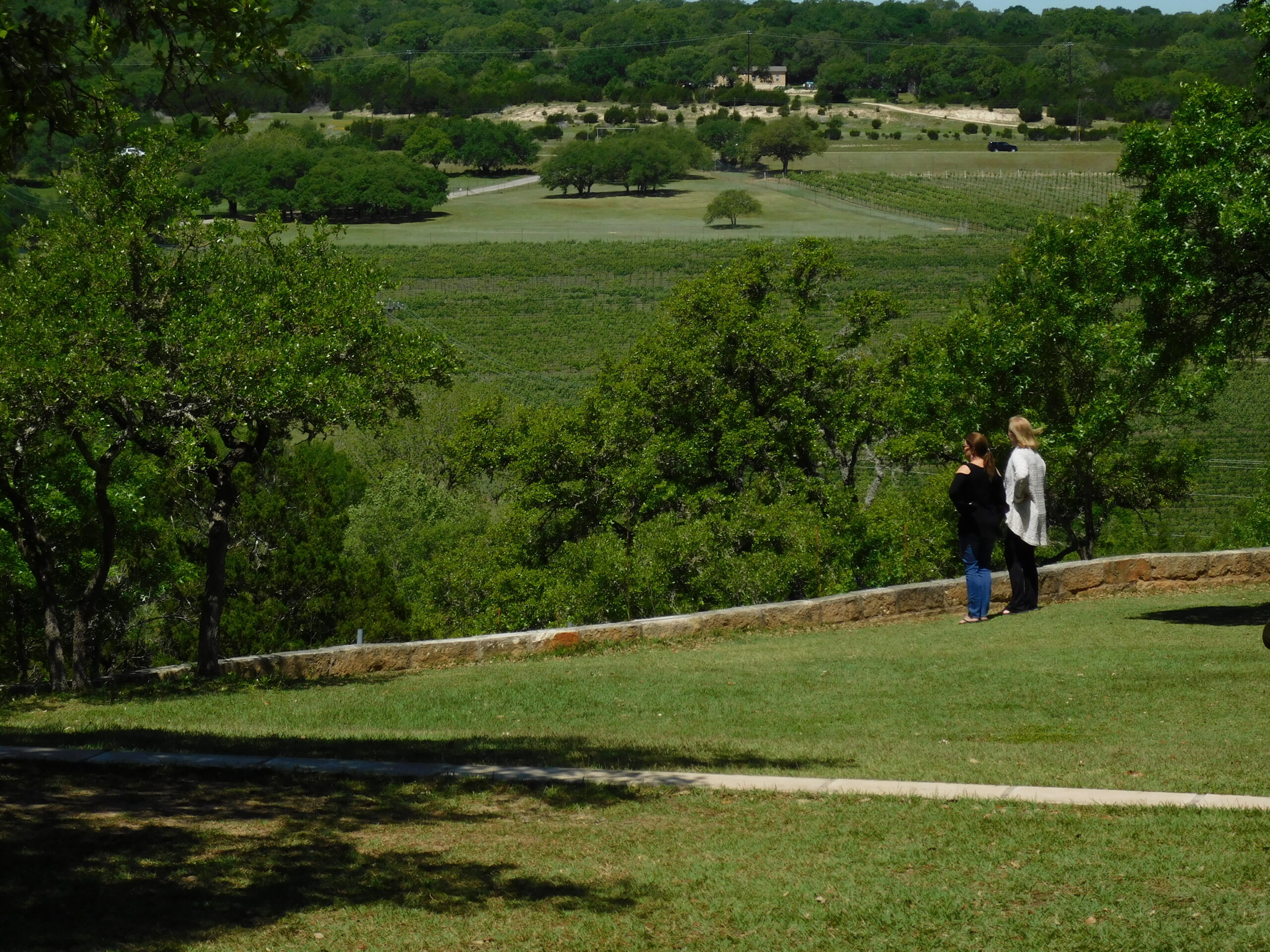 Strolling through Texas wine Hill Country