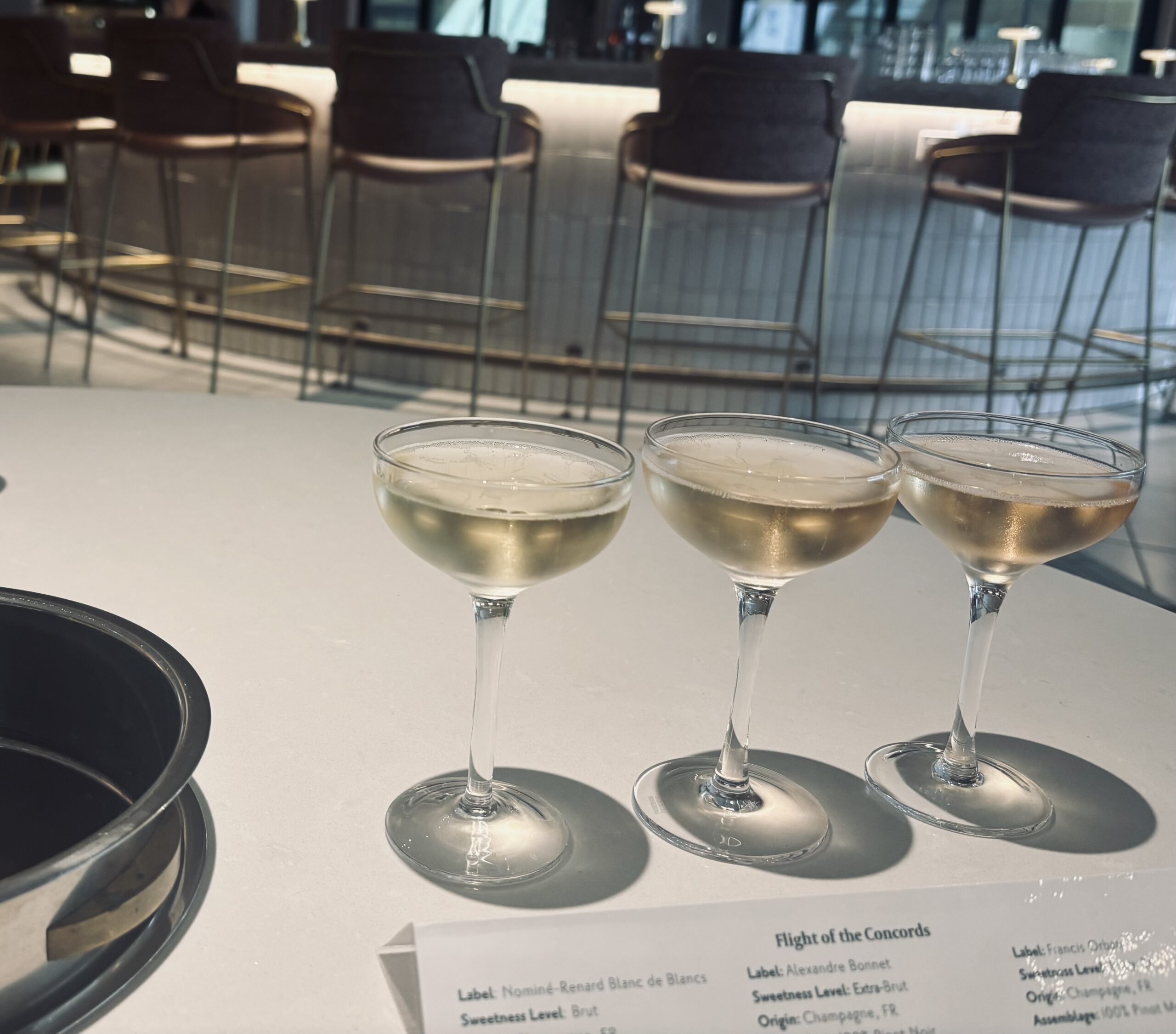 Beyond the Blend: Discovering Pinot Meunier as a Single-Varietal Champagne